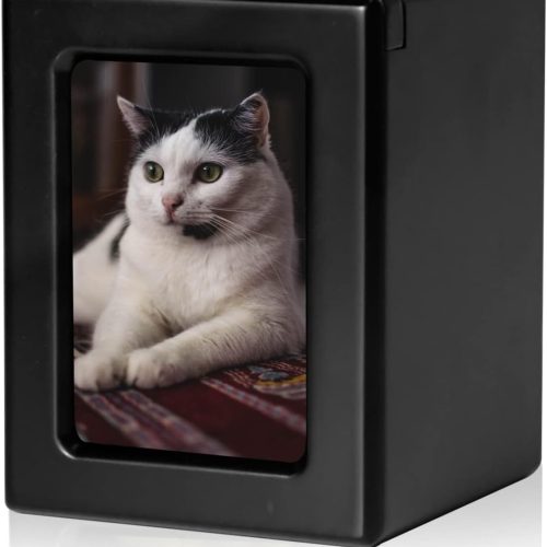 Pet Urns for Cats, Cat Photo Urn, Cat Urns for Ashes, Pet Cremation Box Black-Small