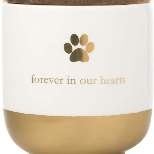 Pet Ceramic Forever in Our Hearts Urn, Pet Memorial, Dog Or Cat Keepsake Urn, Rainbow Bridge, Gold